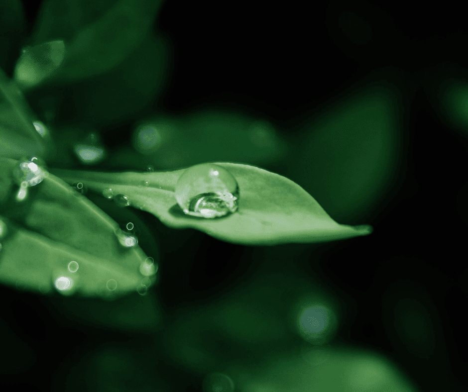 đ± Itâs Always the Right Time for a Fresh Start: Why Renewal Doesnât Need a Season