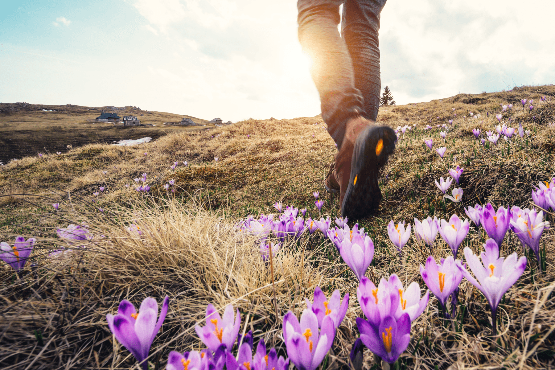 š Step Into the Light: Recharging Your Mind This Spring